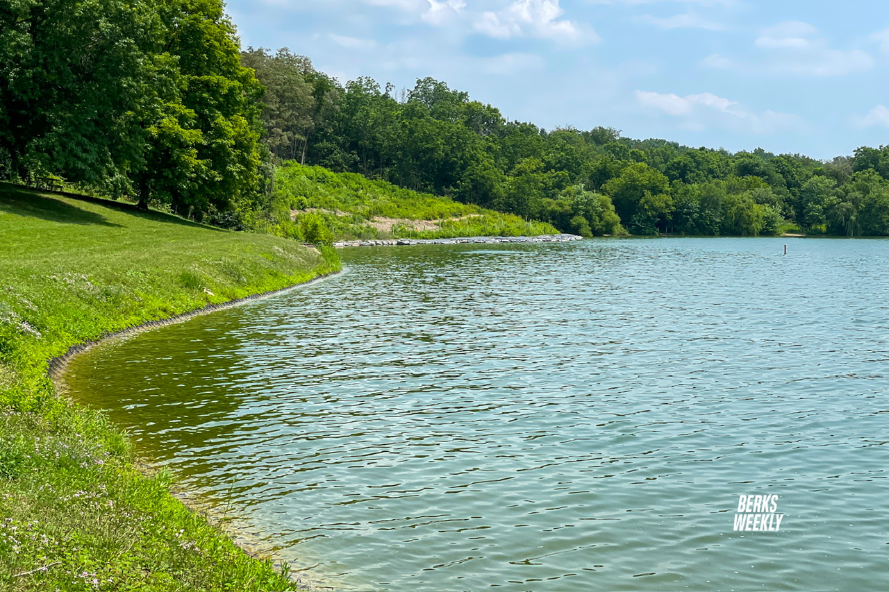 Largescale fish habitat project soon to be completed on Blue Marsh Lake