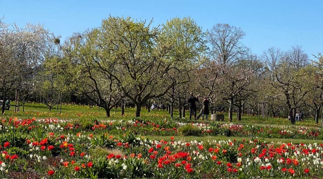41+ neu Foto Britzer Garten Mohriner Allee Den Britzer