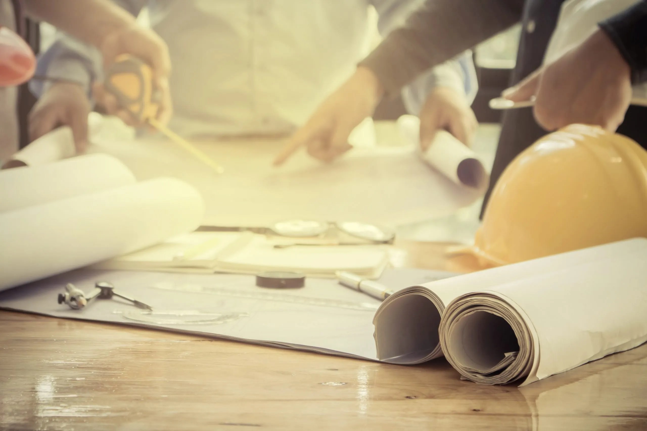 Survey Says... Berlin Patten Ebling