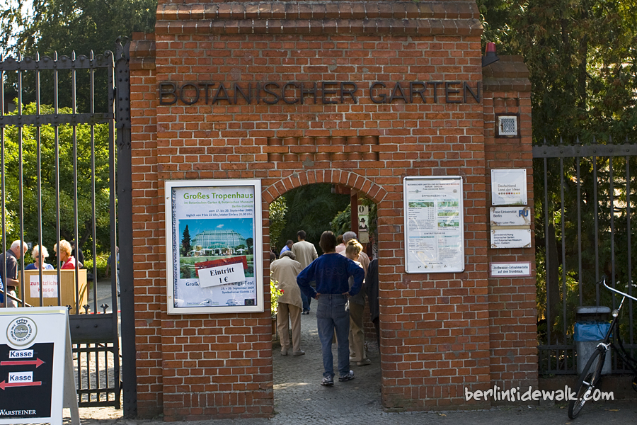 Berlin’s Tropical Greenhouse Reopened! BERLIN SIDEWALK