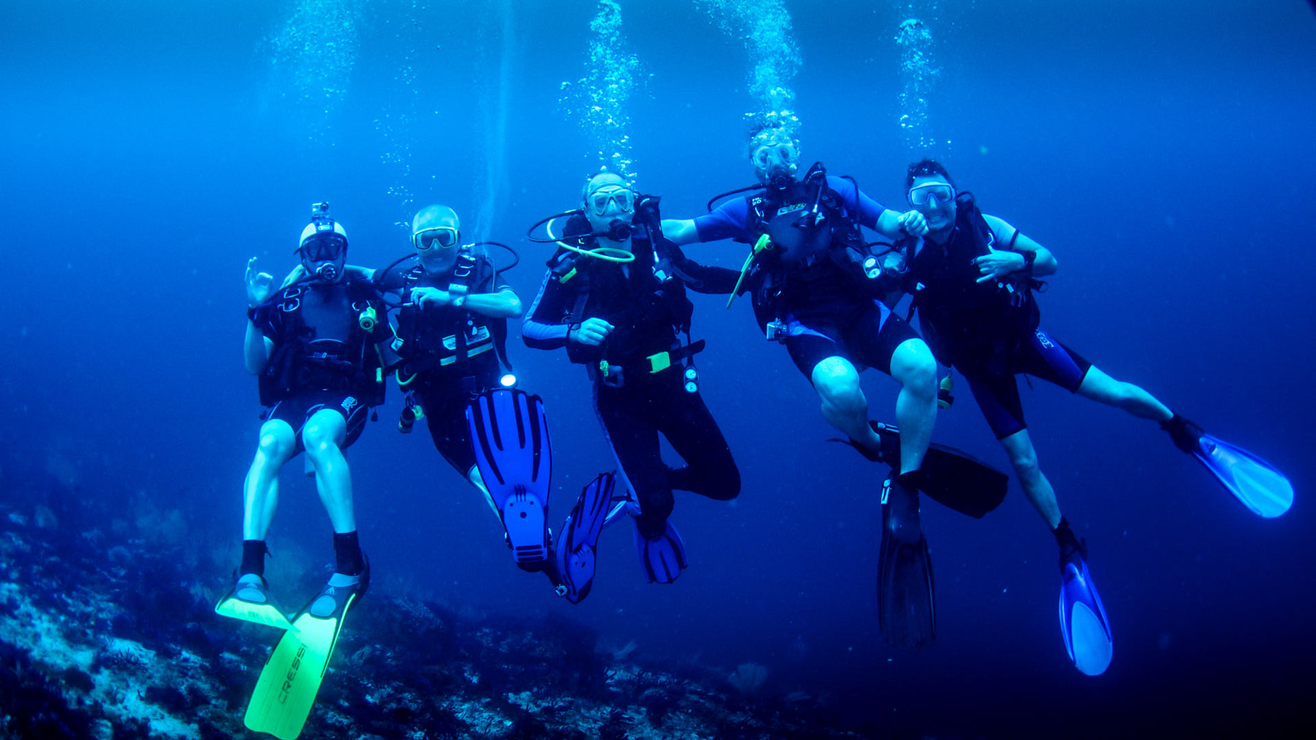 Bermuda Diving Center Dive Offers