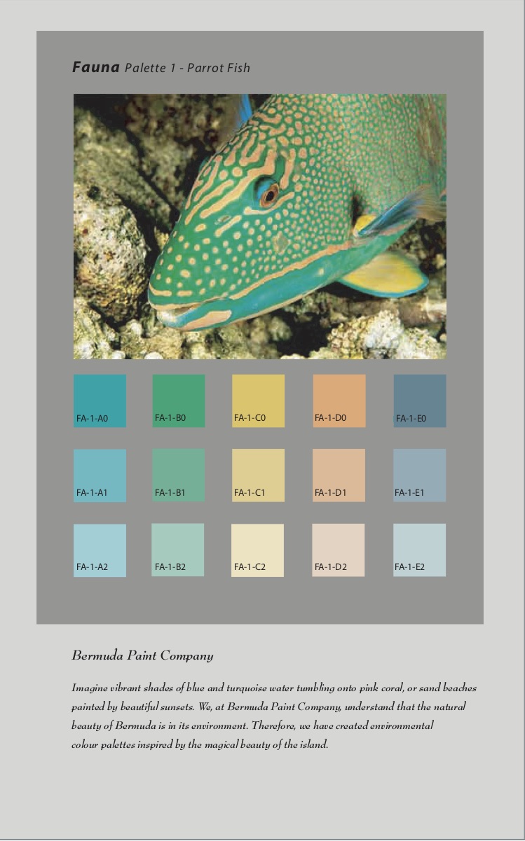 Color System Bermuda Paint Company