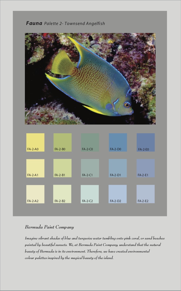 Color System Bermuda Paint Company