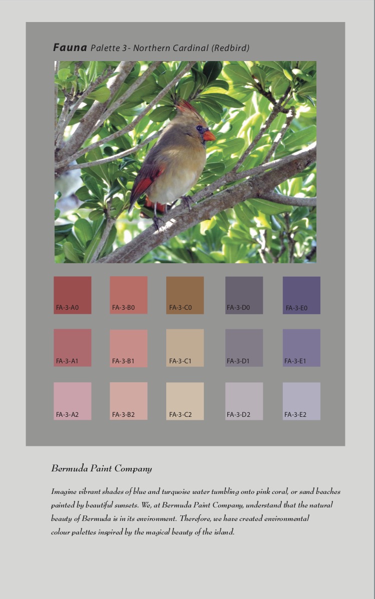 Color System Bermuda Paint Company