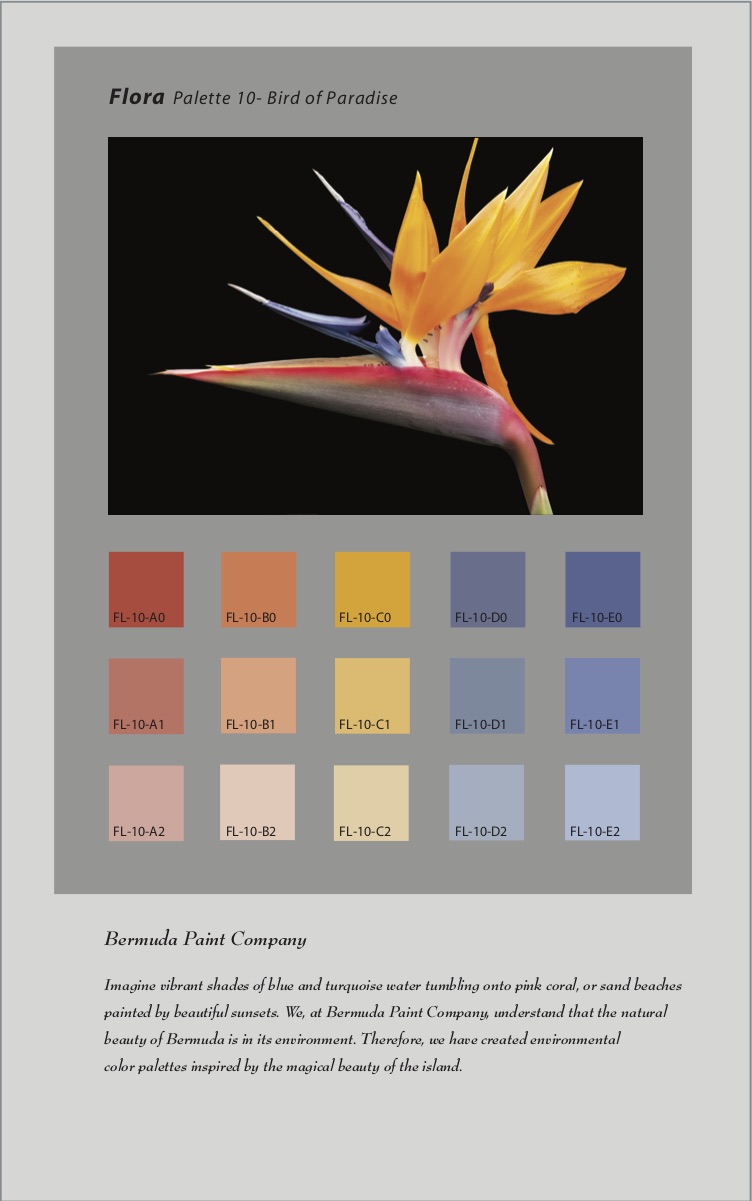 Color System Bermuda Paint Company