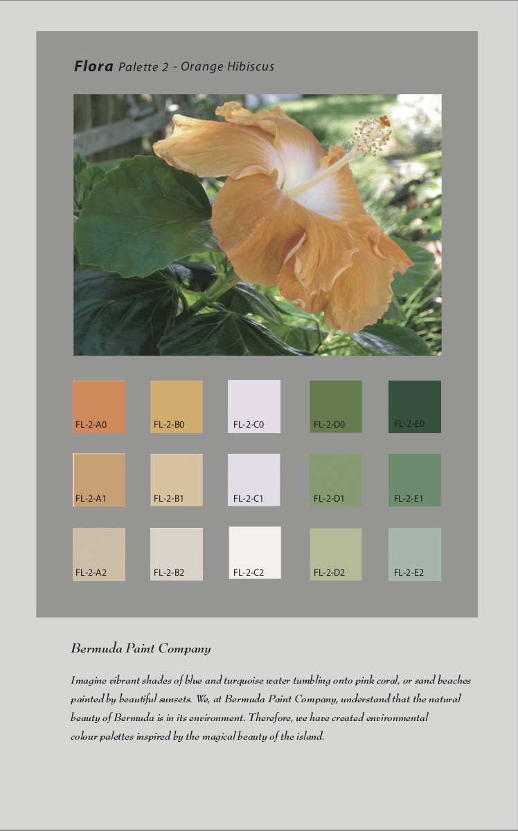 Color System Bermuda Paint Company