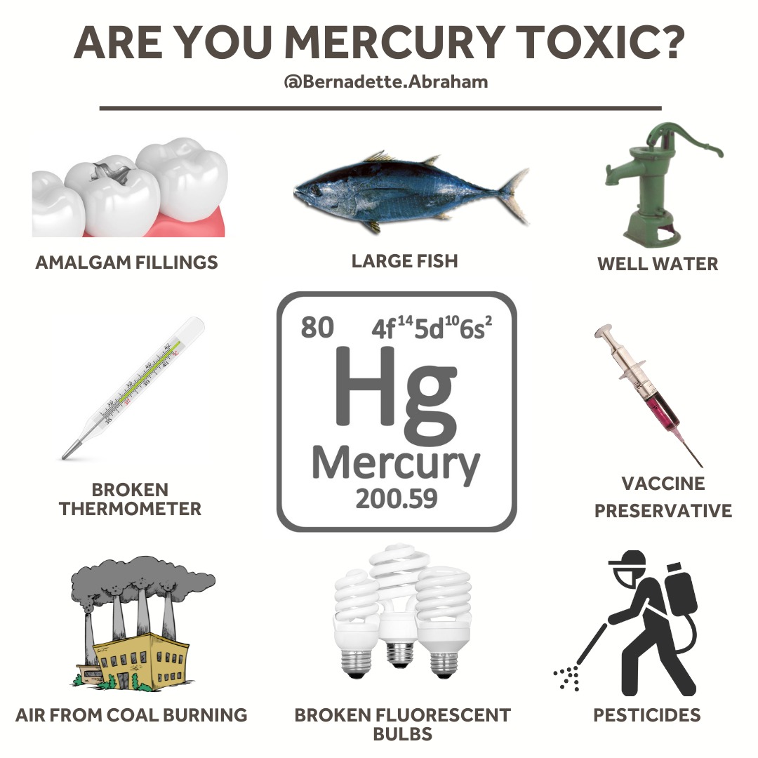Are You Mercury Toxic? Bernadette Blog