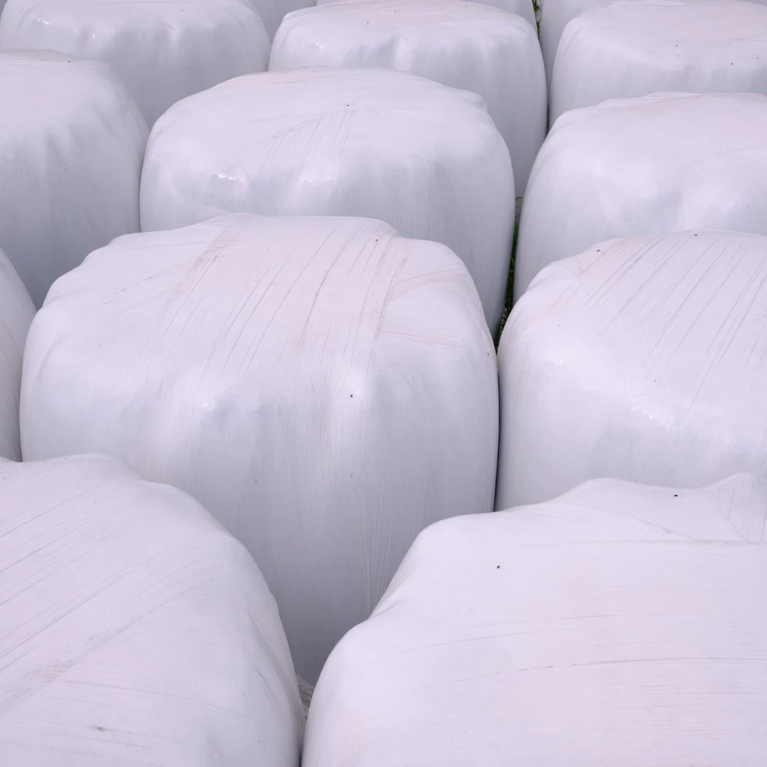 Choosing Between PET & PVC Packaging Material Comparison