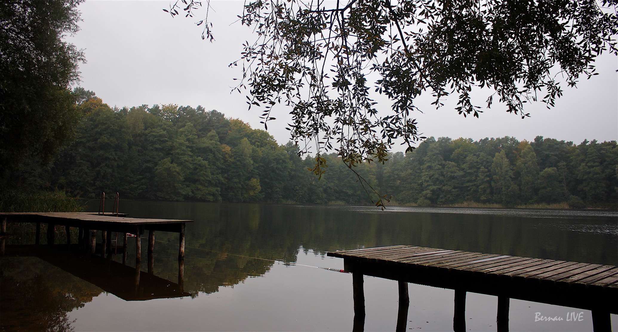 Bernau Willkommen im herbstlich grauen Mittwoch Bernau LIVE Dein