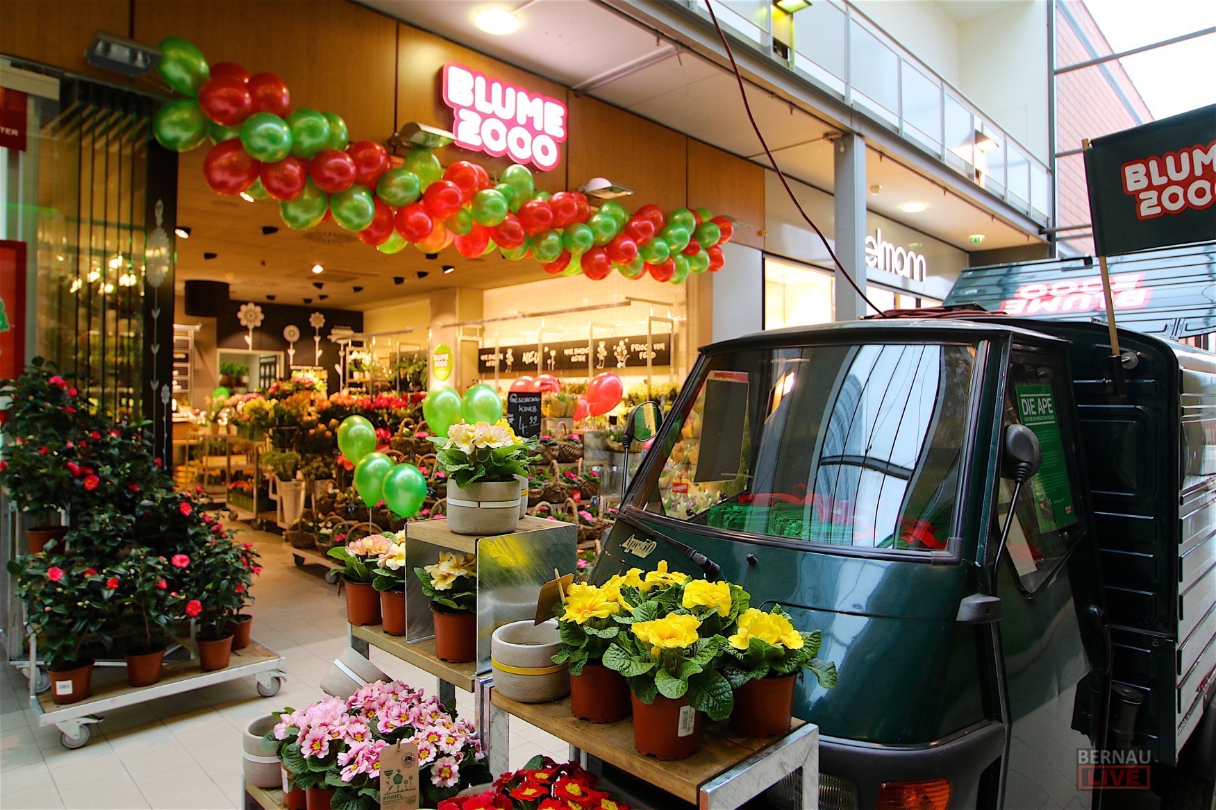 Blumen, Blumen, Blumen Wiedereröffnung Blume 2000 in Bernau