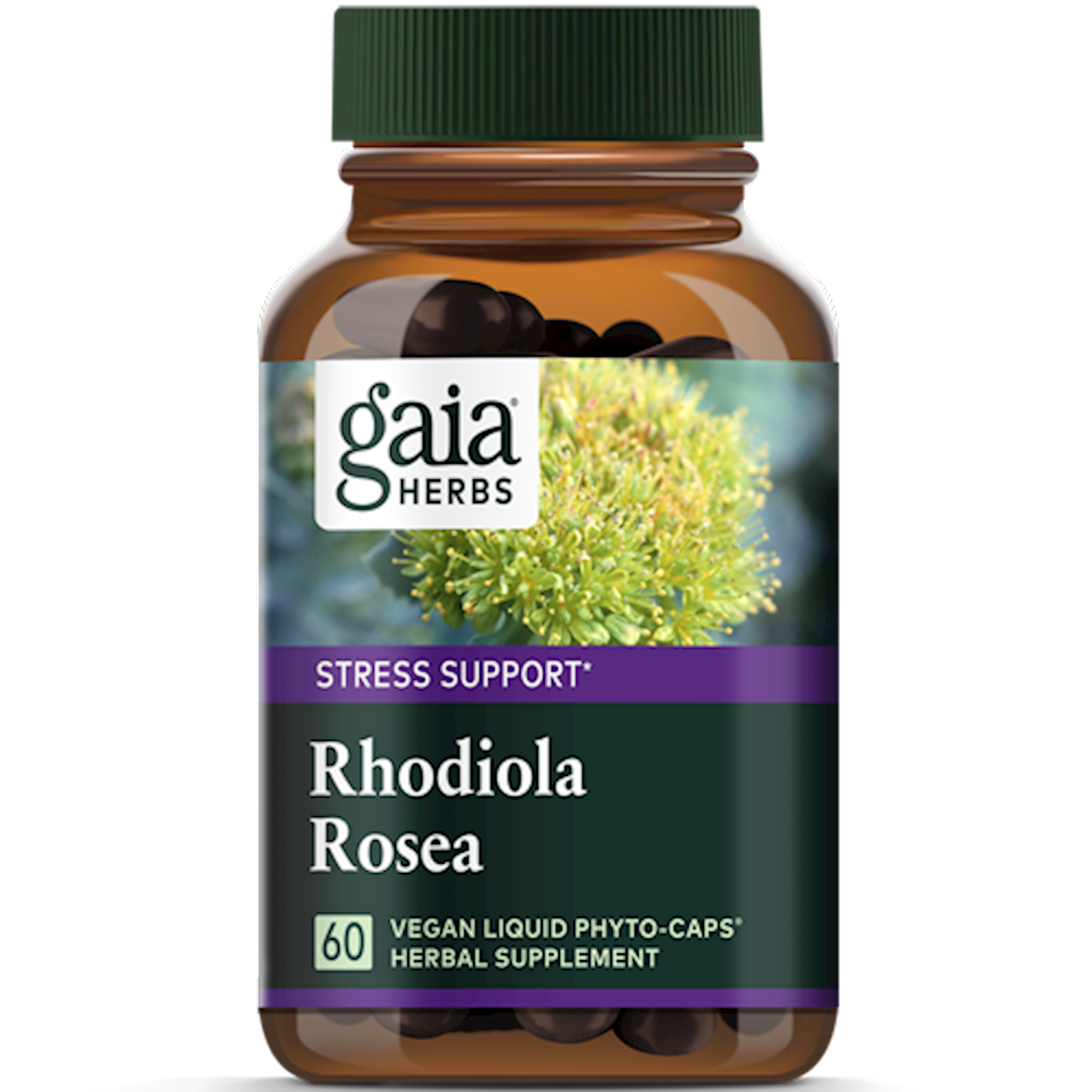 Rhodiola Rosea Gaia Herbs Bernadette