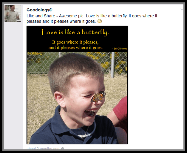 Most Popular Facebook Posts Last 3 Months Goodology