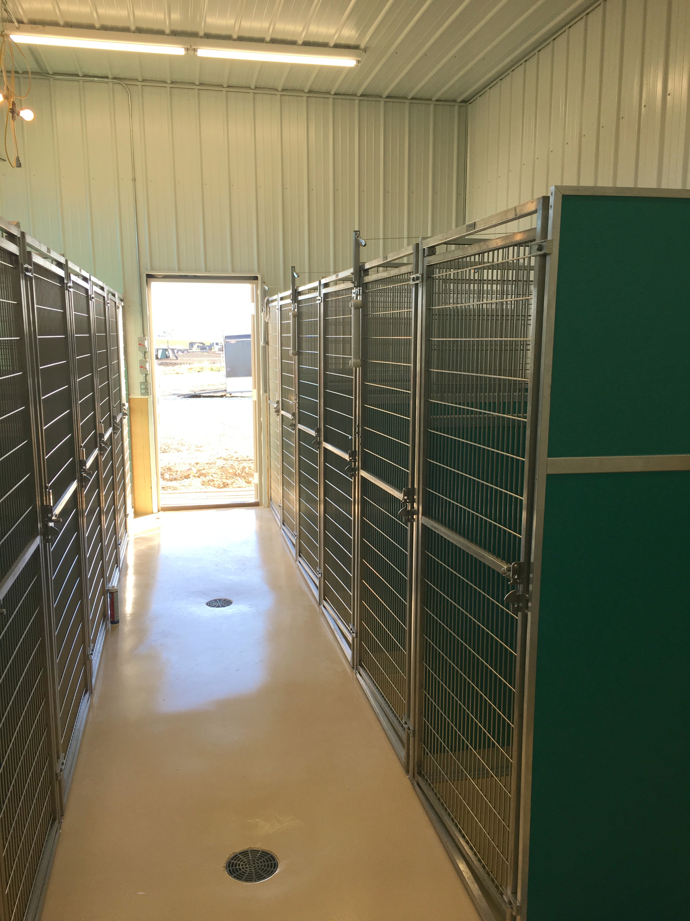 Dog and Cat boarding in our Sabetha location Bern Sabetha Veterinary Clinic