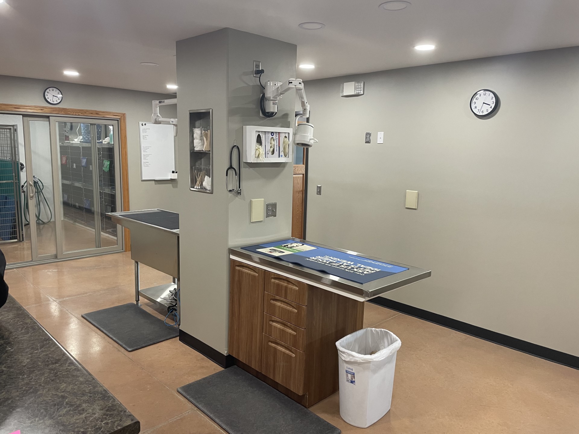 Hospital Tour Bern Sabetha Veterinary Clinic