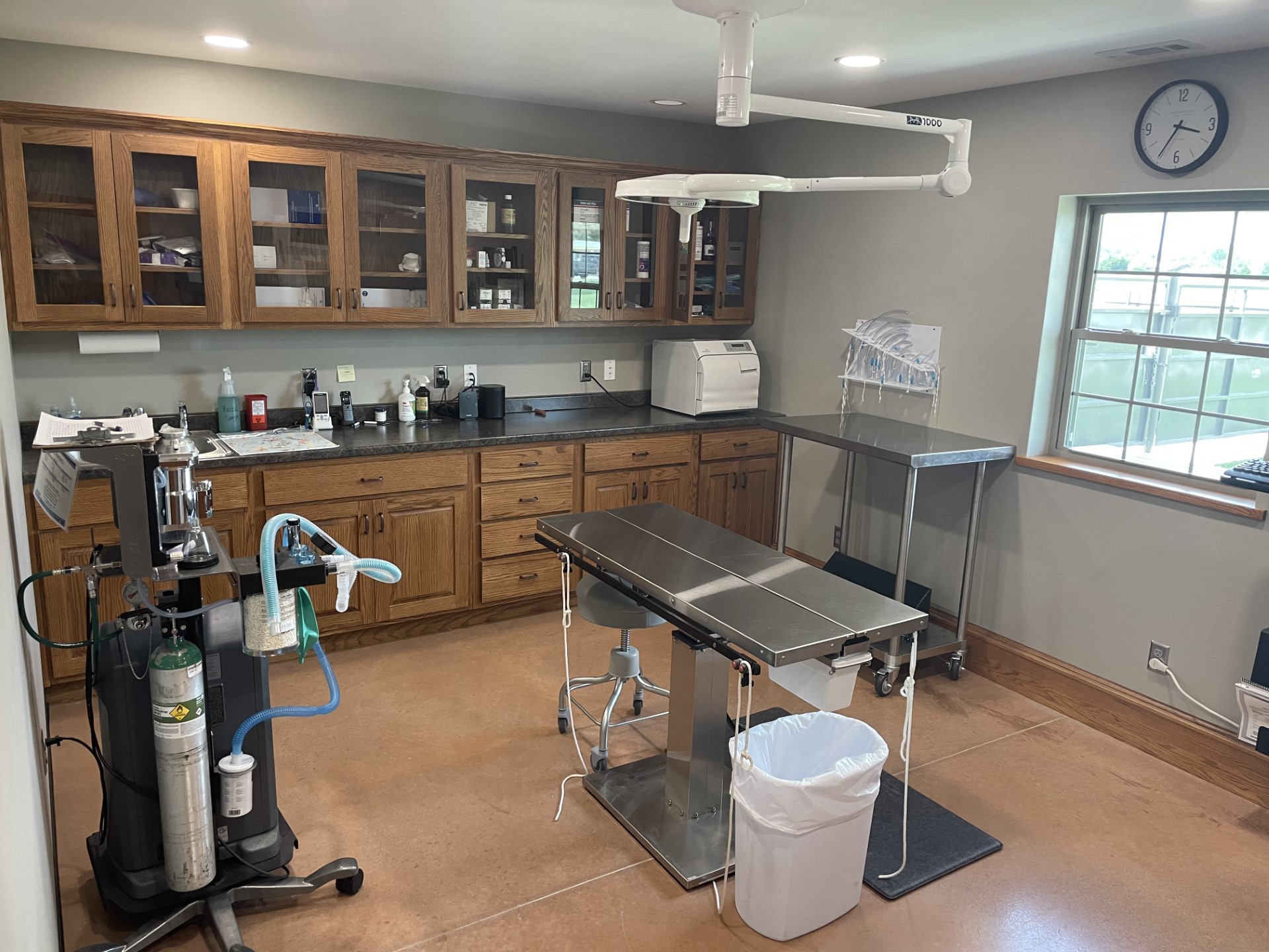 Hospital Tour Bern Sabetha Veterinary Clinic