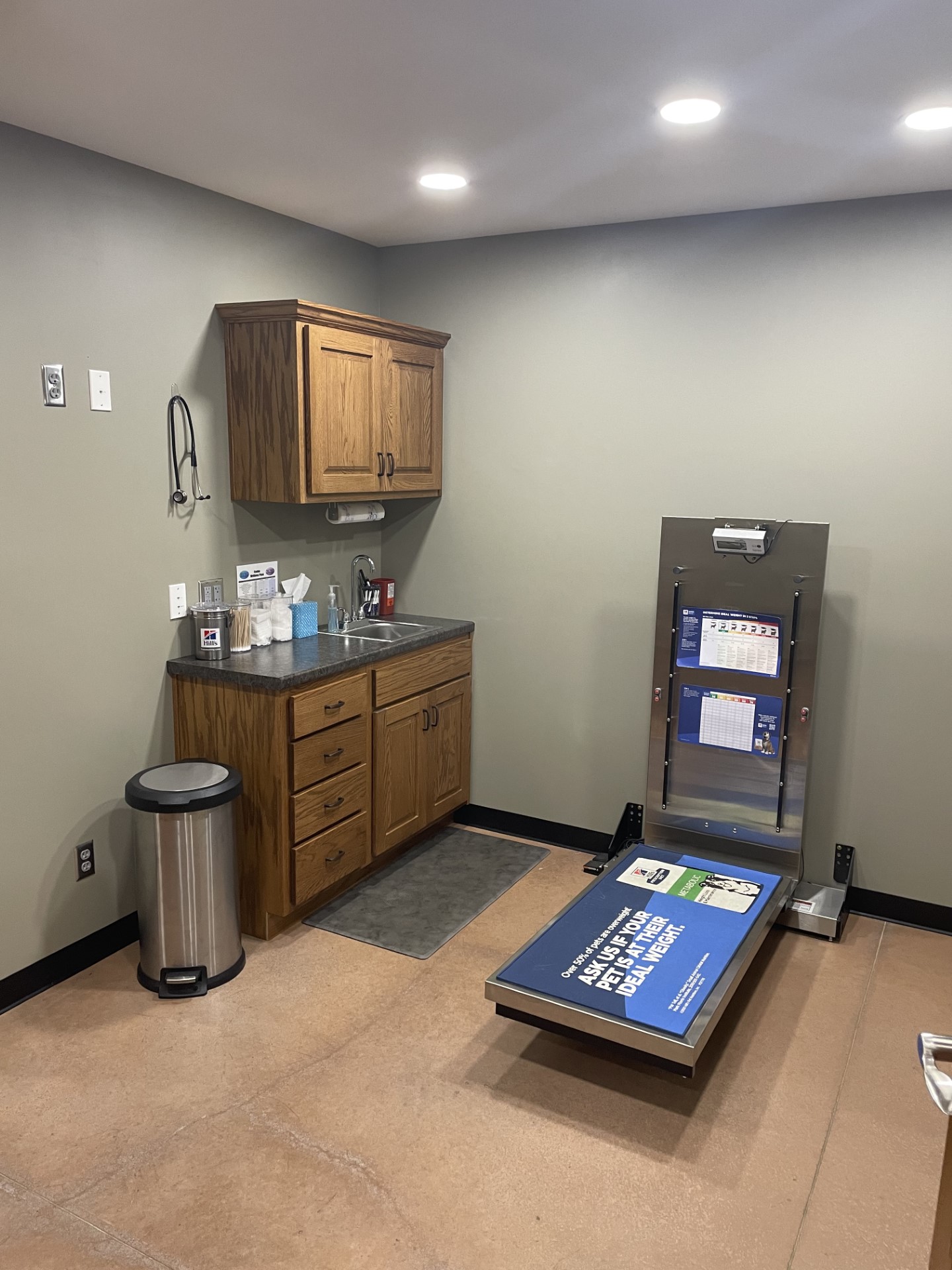 Hospital Tour Bern Sabetha Veterinary Clinic