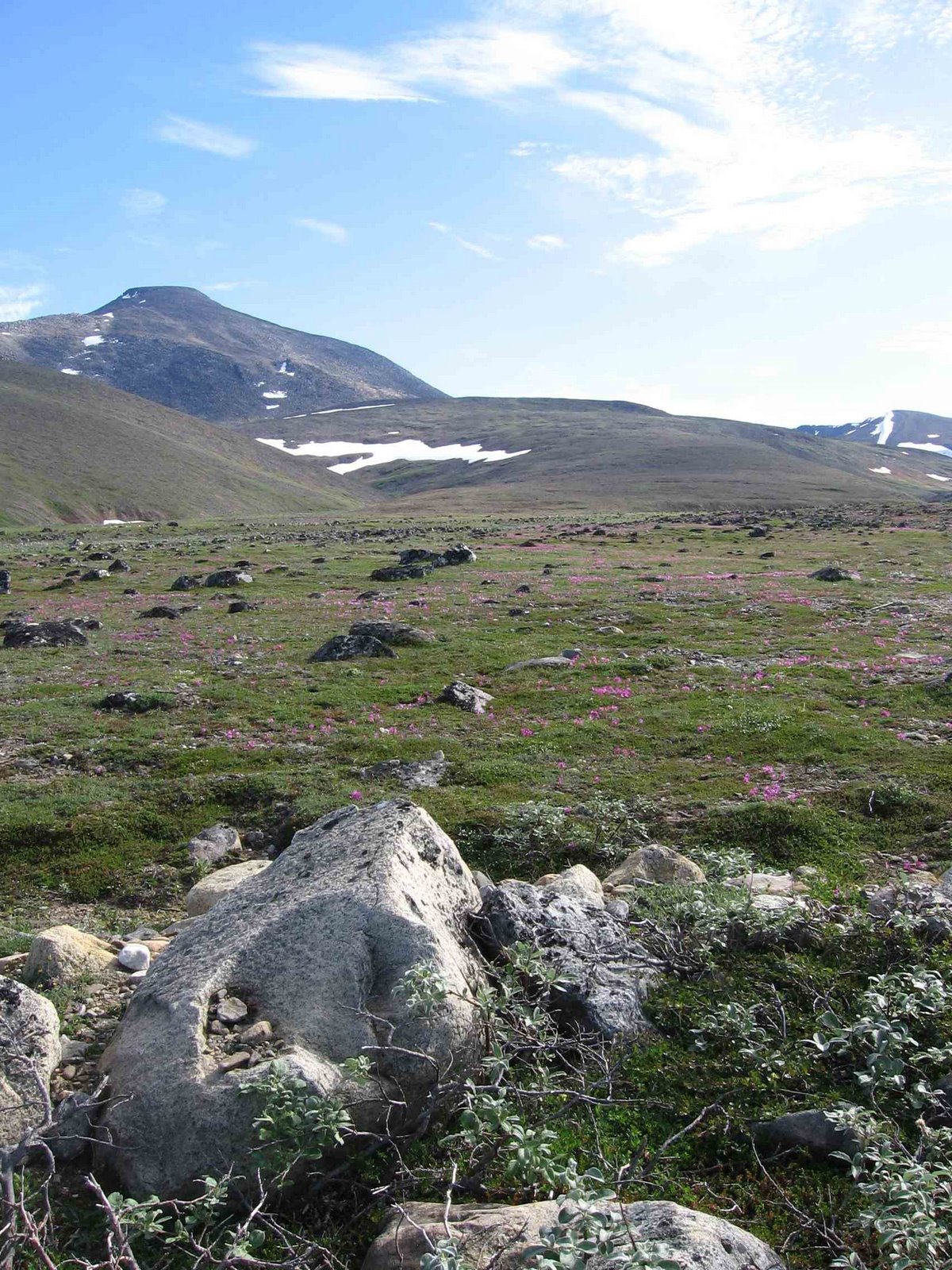 24. Dutch HarborNome (Alaska) Berrimilla