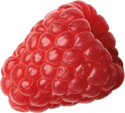 BerryWorld Raspberries BerryWorld