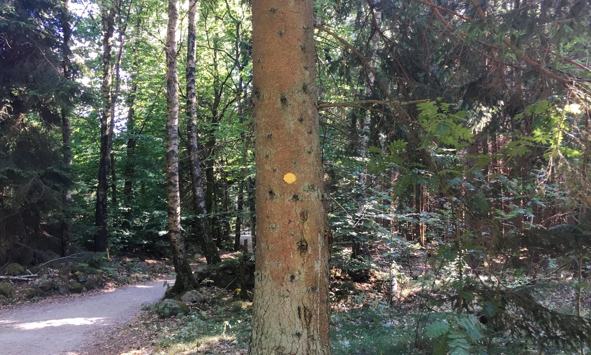 Vad betyder namaste? Yoga på svenska