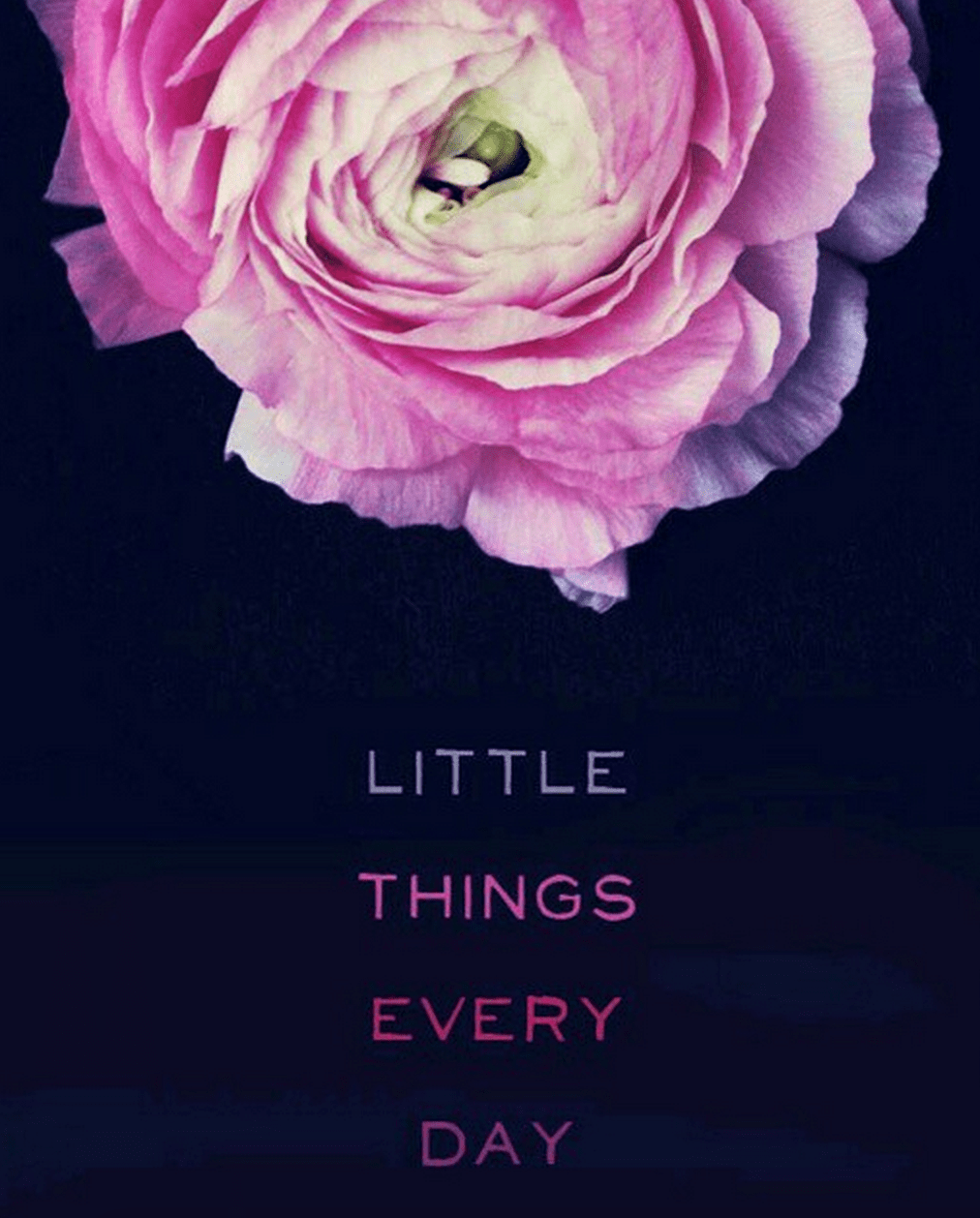 Little Things, Every Day Berta Lippert