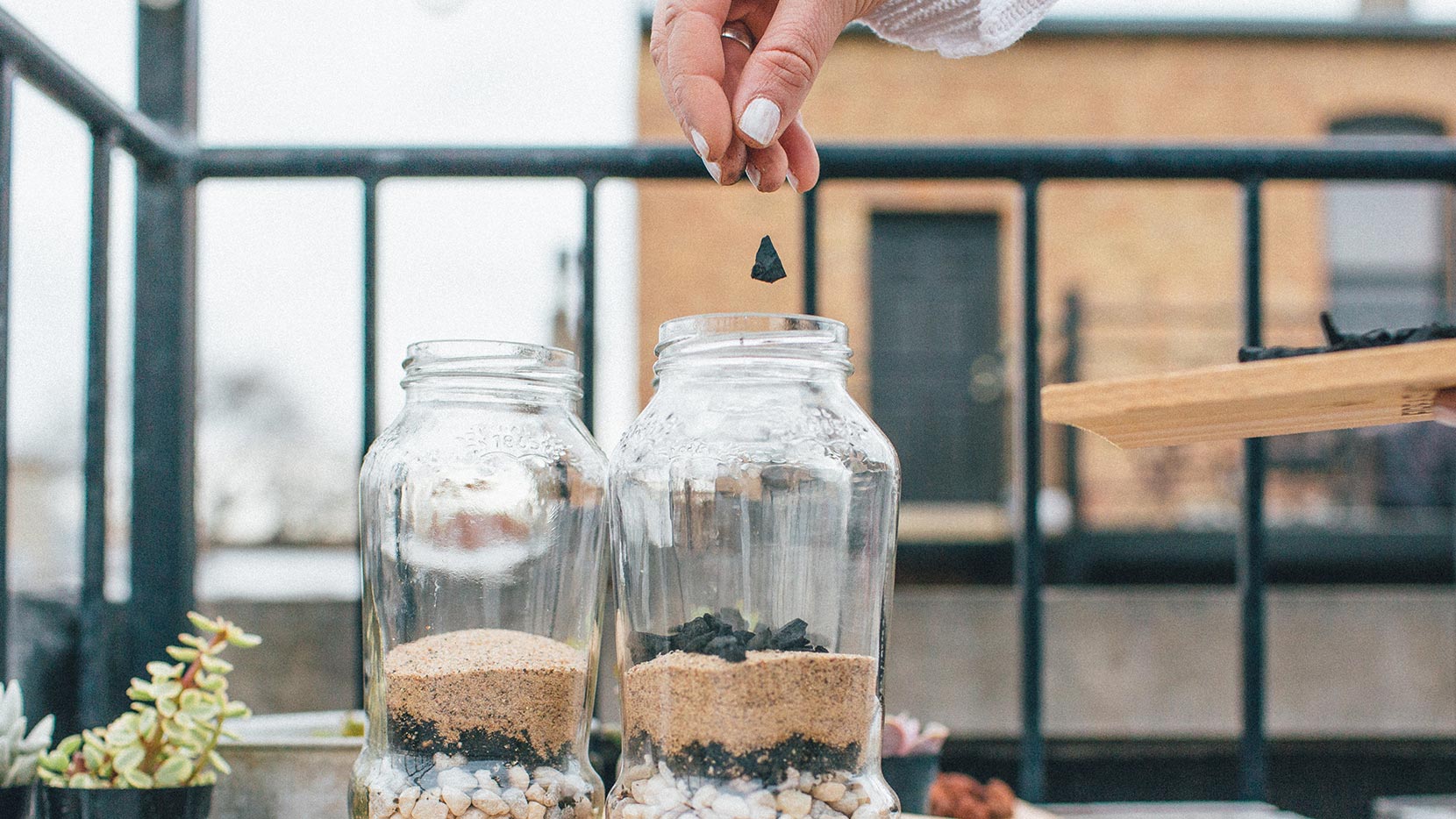 Build Your Own Terrarium Bertolli