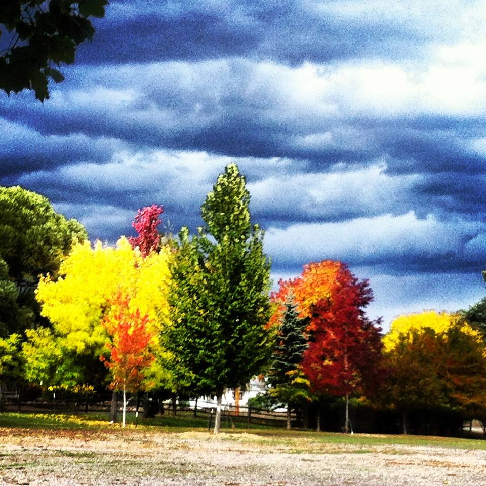 Colorado Landscapes Bert and Mary Sibley Team at RE/MAX Mountain West