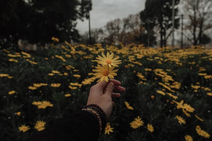 Cara Mengambil Foto Instagram Aesthetic yang Kekinian » BertuahPos