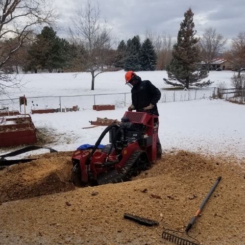 Stump Grinding Berven Forestry