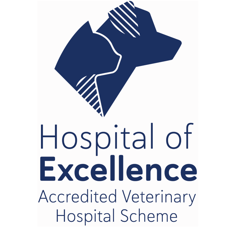 Berwick Veterinary Hospital Quality Pet Care & Advice Open 7 Days