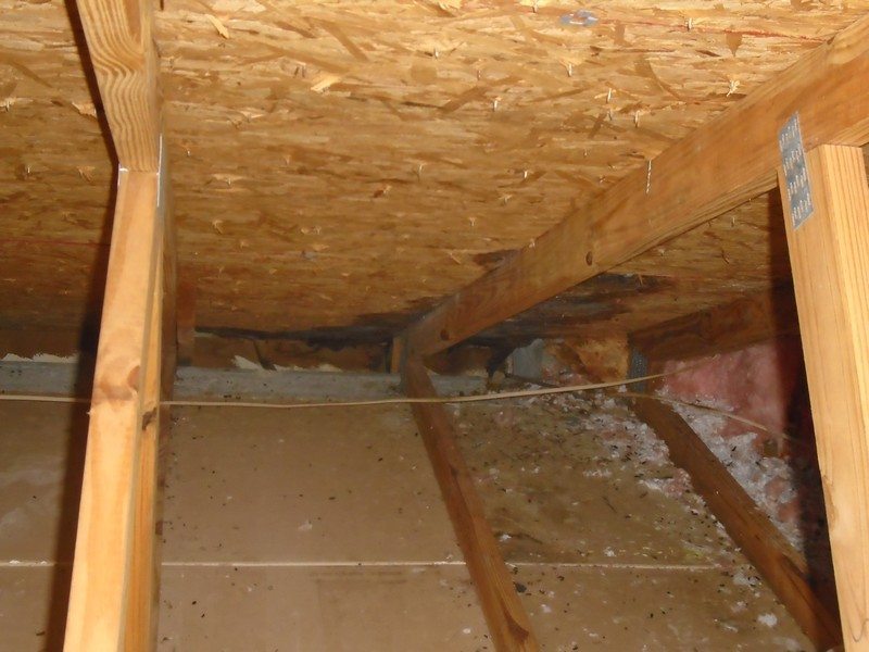 Home Inspector Tampa Best Ways to Find a Home Inspector in Tampa