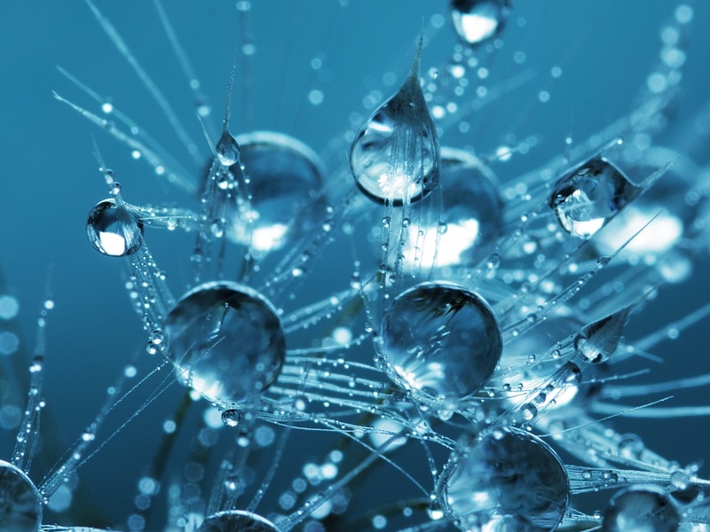 Cool Water* Fragrance Oil BeScented Soap and Candle Making Supplies