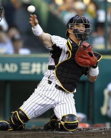 ポケットが浅いキャッチャーミットの特徴 | baseballweapons.com