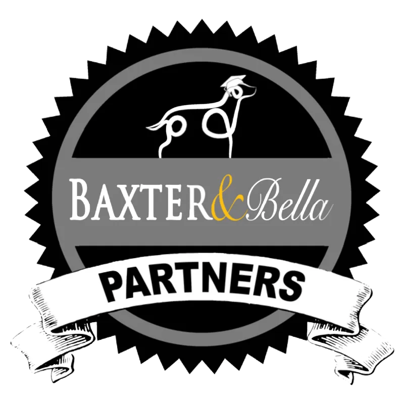 Puppy Training Beseme Havanese