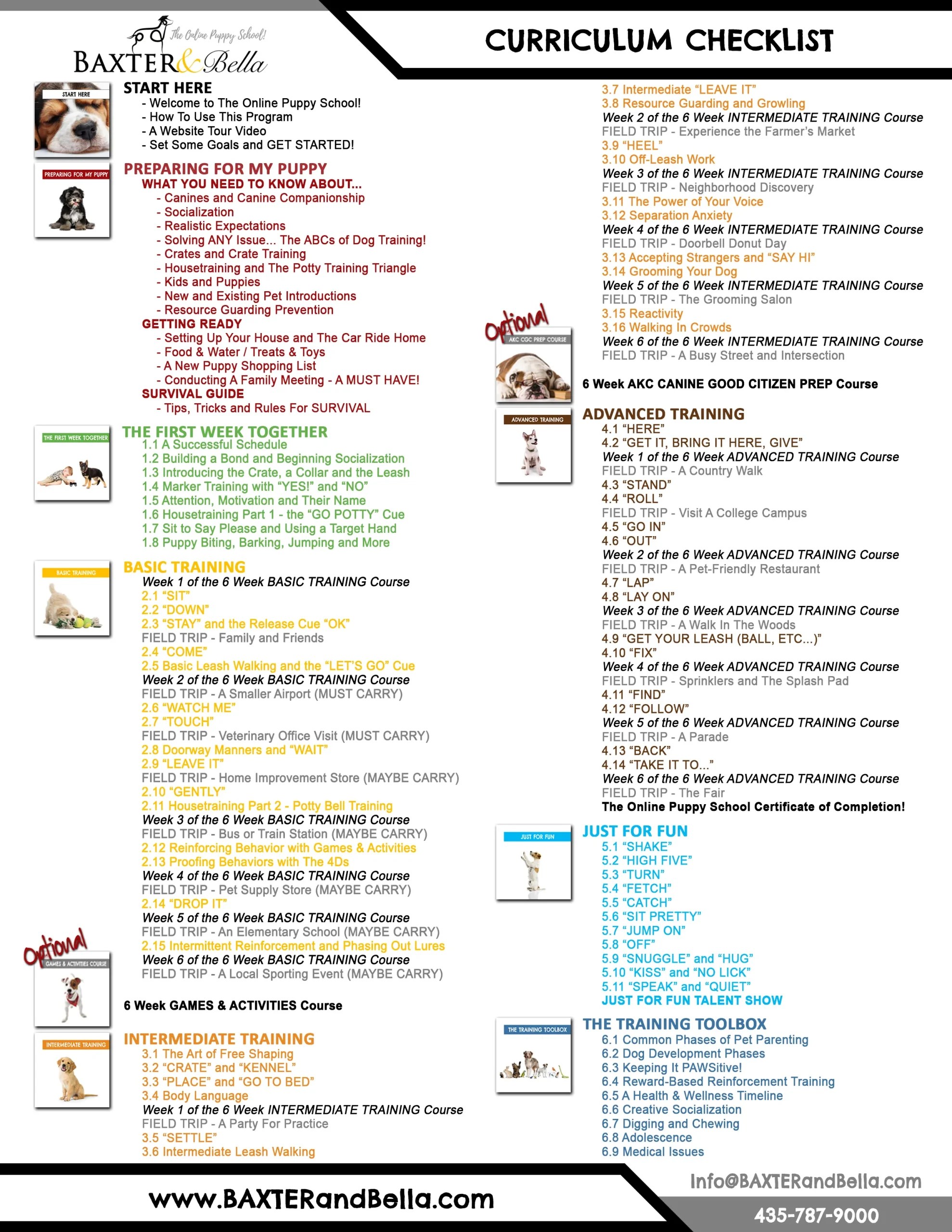 Puppy Training Beseme Havanese