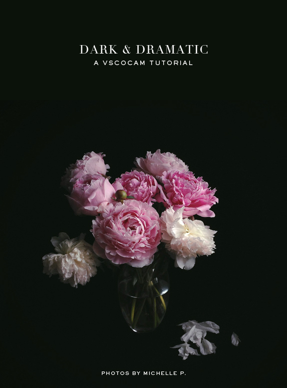 VSCOCAM TUTORIAL DARK & DRAMATIC Besotted