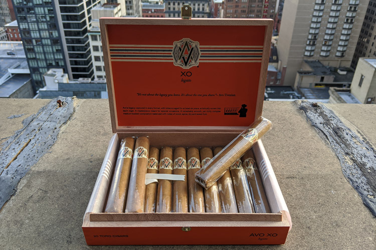 Avo X.O. Cigar Review
