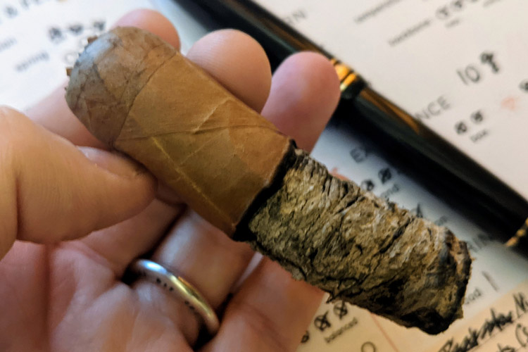 Avo X.O. Cigar Review