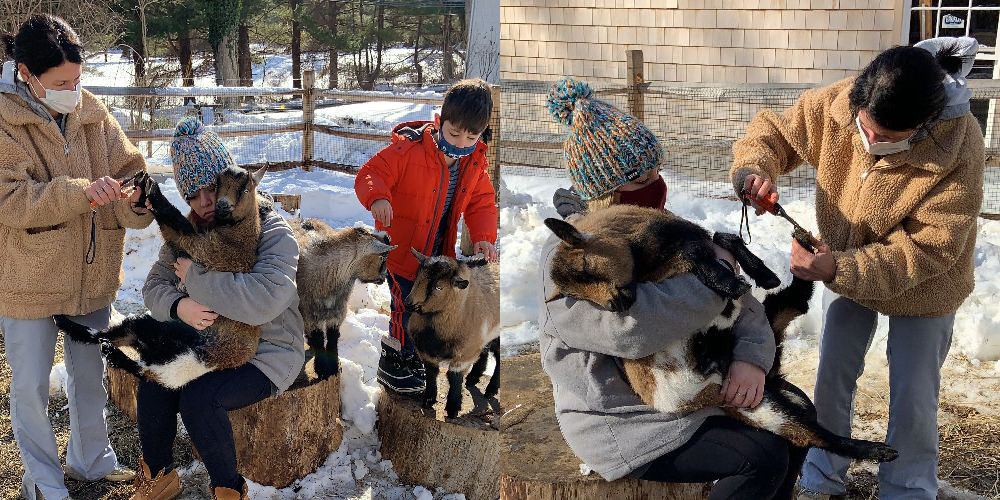 JESS JOINS THE GOAT TEAM - Bespoke Veterinary Services