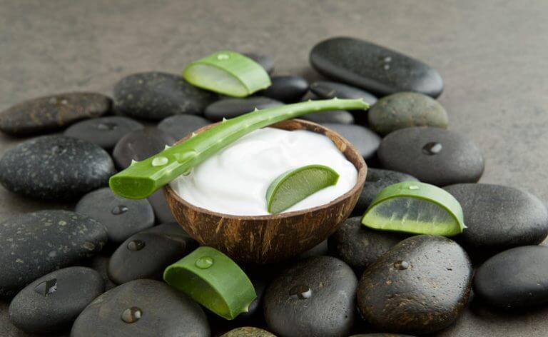 Aloe vera und Kokosmilch pflegt dein Haar Besser Gesund