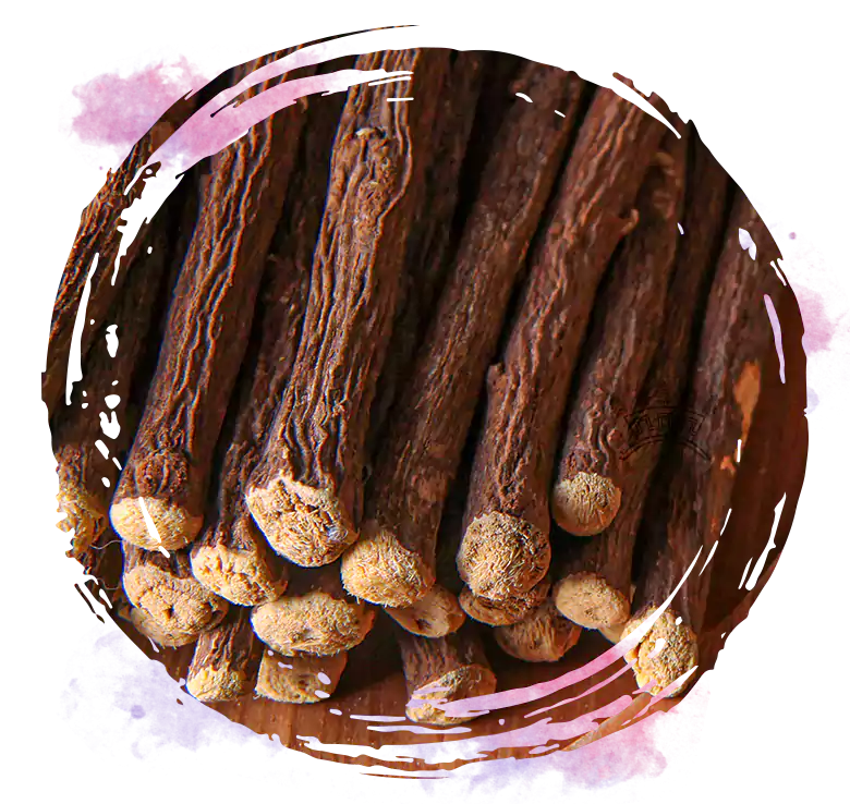 About us Best Licorice Extract Products