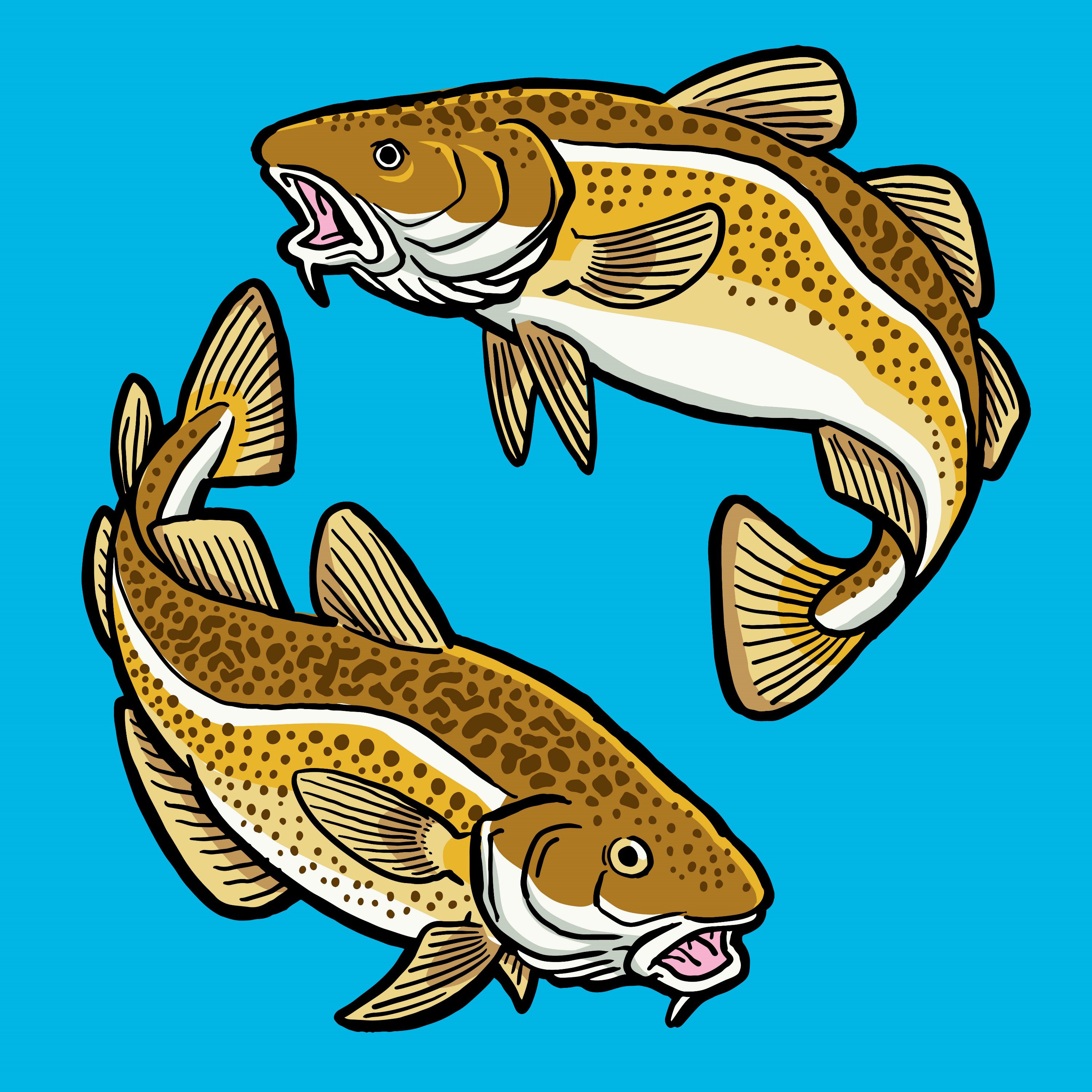 Health Benefits Of Cod