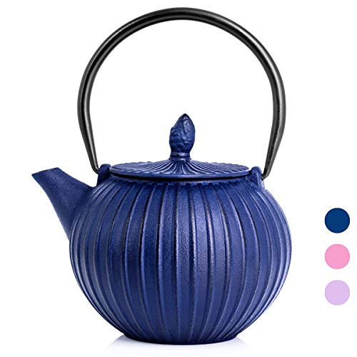Tea Kettle,Japanese Cast Iron Teapot with Stainless Steel Infuser,Cast