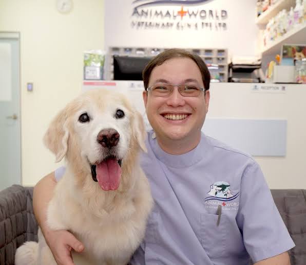 Best Veterinary Clinics in Singapore BEST 10 SINGAPORE