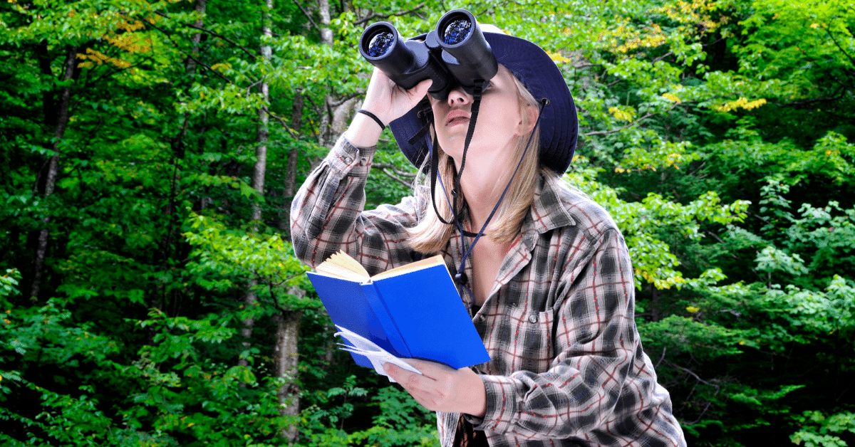 Best Binoculars for Birding Best 411