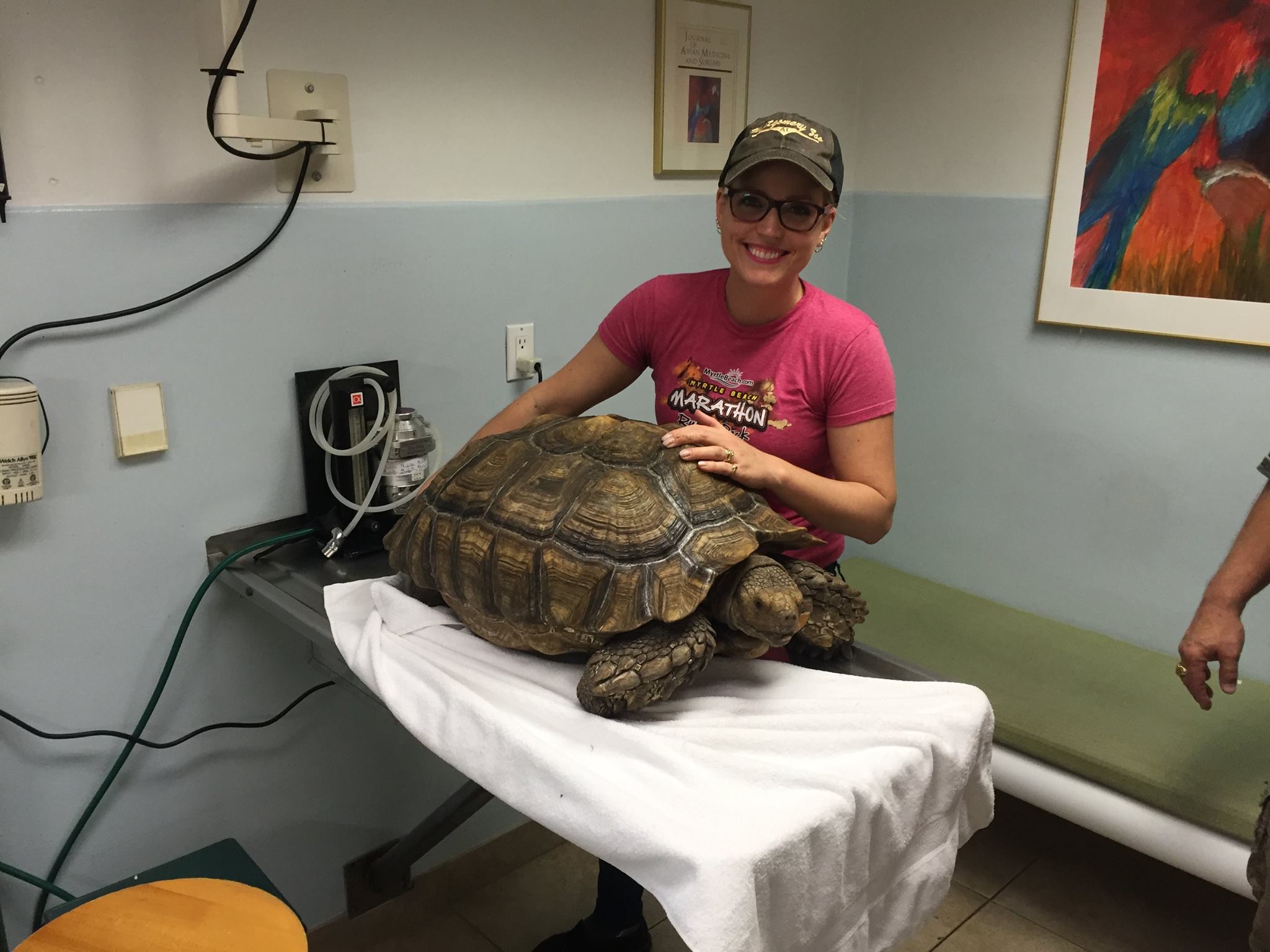 Avian & Exotic Animal Medical Center Best4Pets