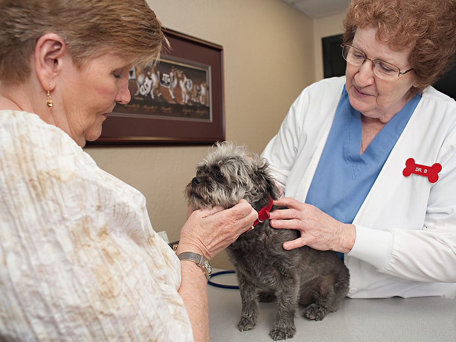 AAnimal Clinic & Boarding Kennel Best4Pets