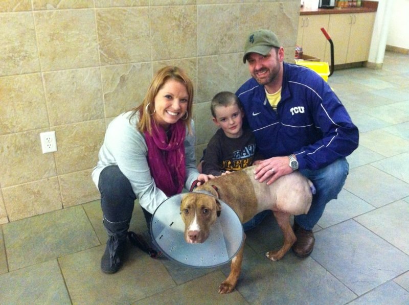 Alliance Animal Health Center Best4Pets