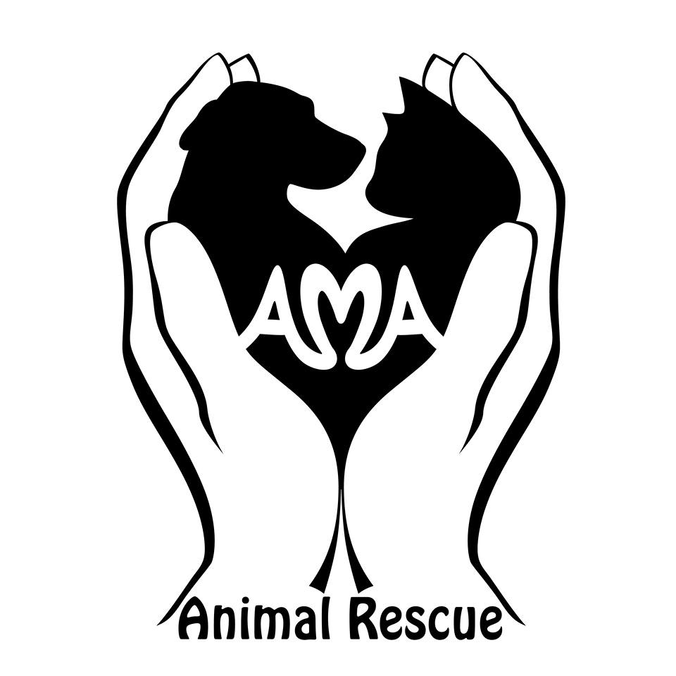 Best Pet Rescue New York Best4Pets