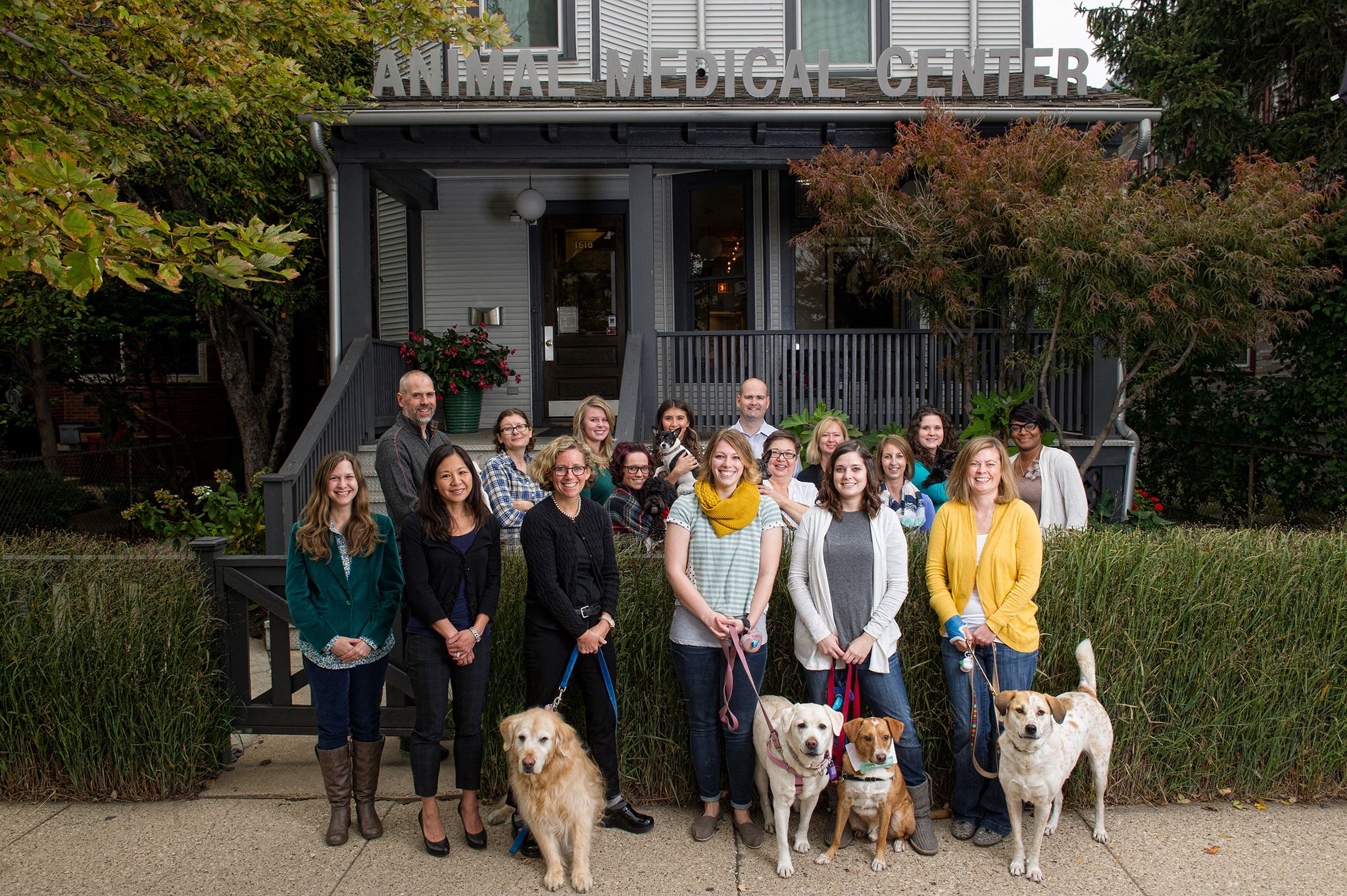 Animal Medical Center of Chicago Best4Pets