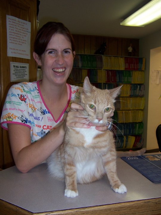 Archer Veterinary Clinic Best4Pets